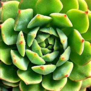 Meet your Posher, Harmony